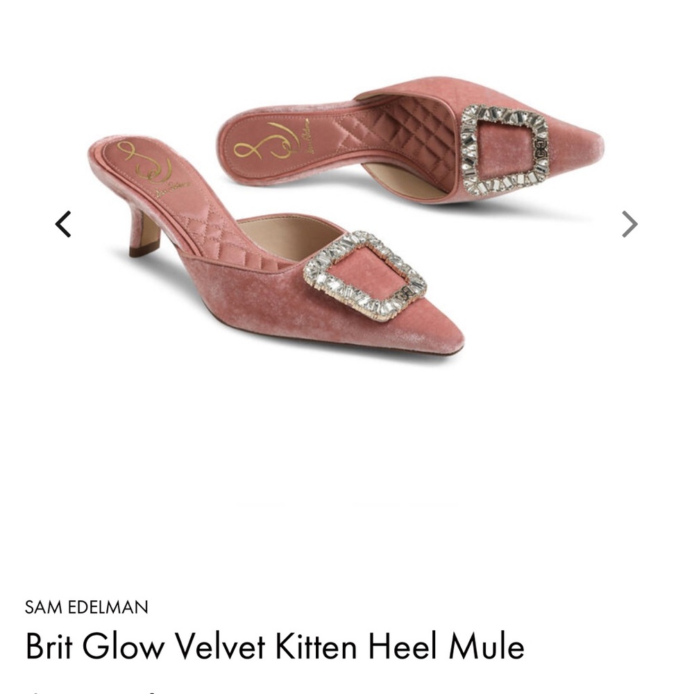 Sam Edelman Brit Glow Velvet Mules with Buckle